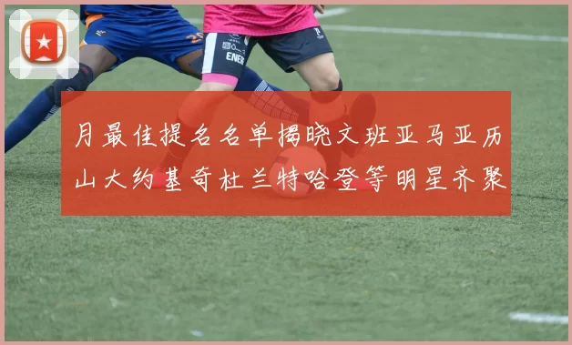 月最佳提名名单揭晓文班亚马亚历山大约基奇杜兰特哈登等明星齐聚争夺荣誉